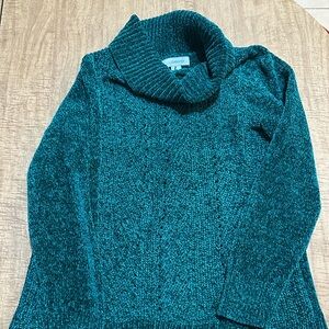 Liz Claiborne green turtle neck type sweater
